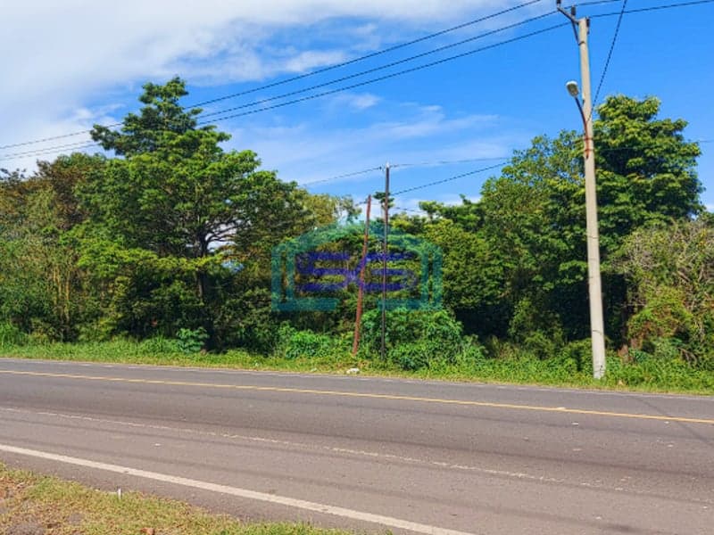 Dijual Tanah Jalan Lintas Sumatra Sriwijaya Raya KM 22 Jalan Palembang Indralaya Sumatera Selatan LT 5.6 Ha