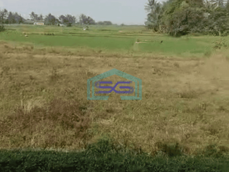 Dijual Tanah Luas  160000 m² Lokasi Strategis di Tigaraksa Tangerang