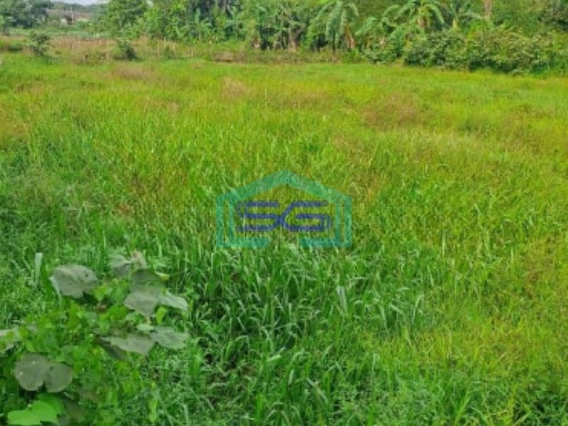 Dijual Tanah Di Kemang Bogor Luas Tanah 13000m2
