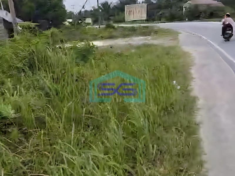 Dijual Luas Tanah 1 Hektar di Kandis Siak Riau Dekat ke Tol