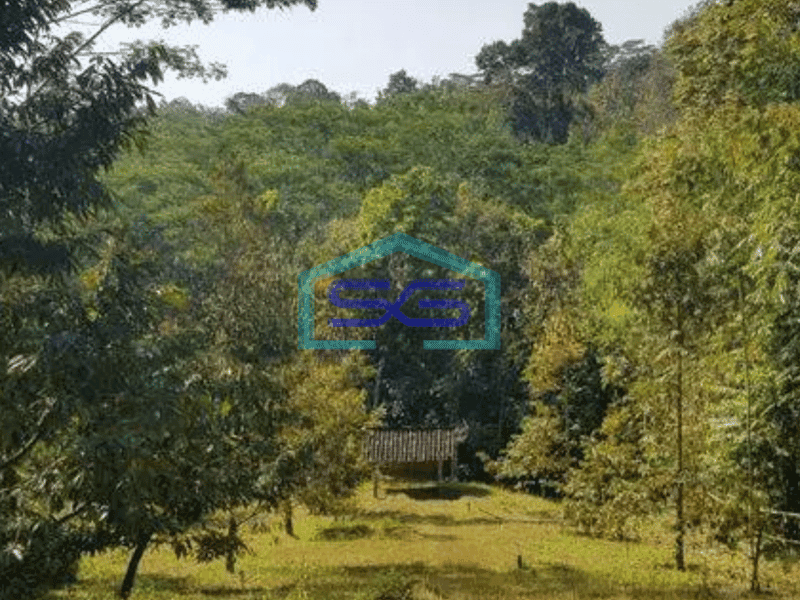 Dijual murah tanah di karangpandan karanganyar solo