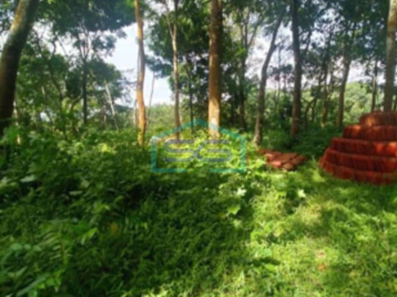 Dijual Tanah di Kaliurang, Sleman LT 5.338 m2
