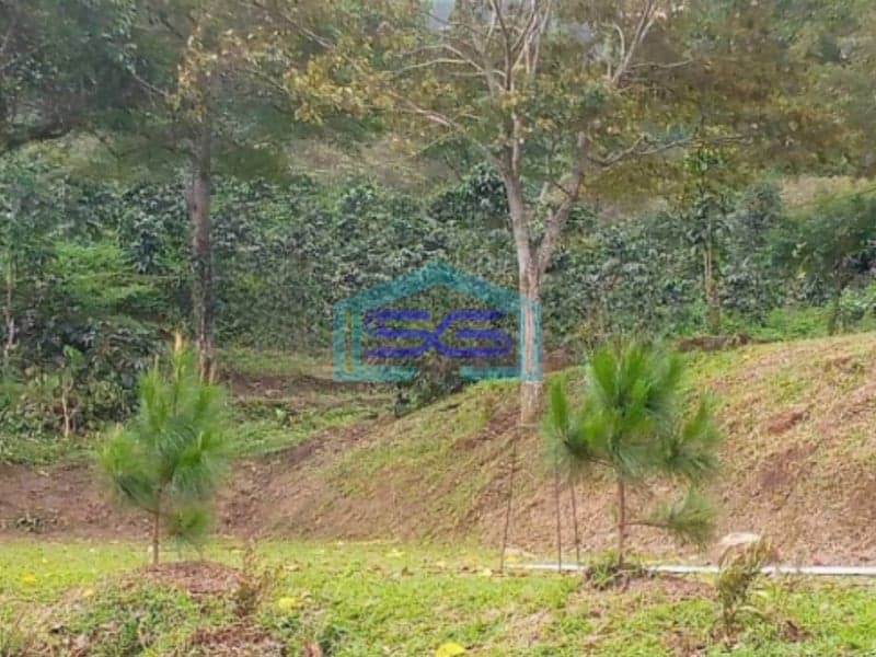 Dijual Tanah di Desa Megamendung Bogor Luas Tanah 100.000m2