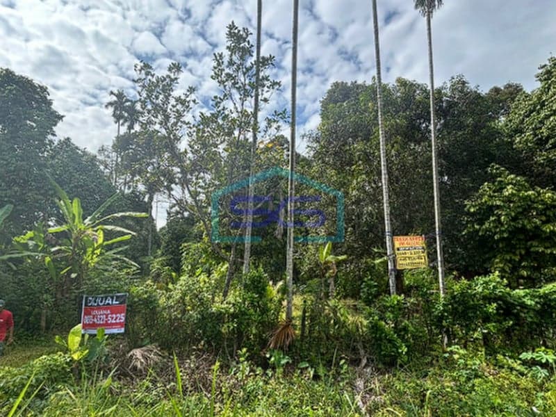Dijual Tanah Produktif di Lintas Muara Enim Palembang Luas 2110m2