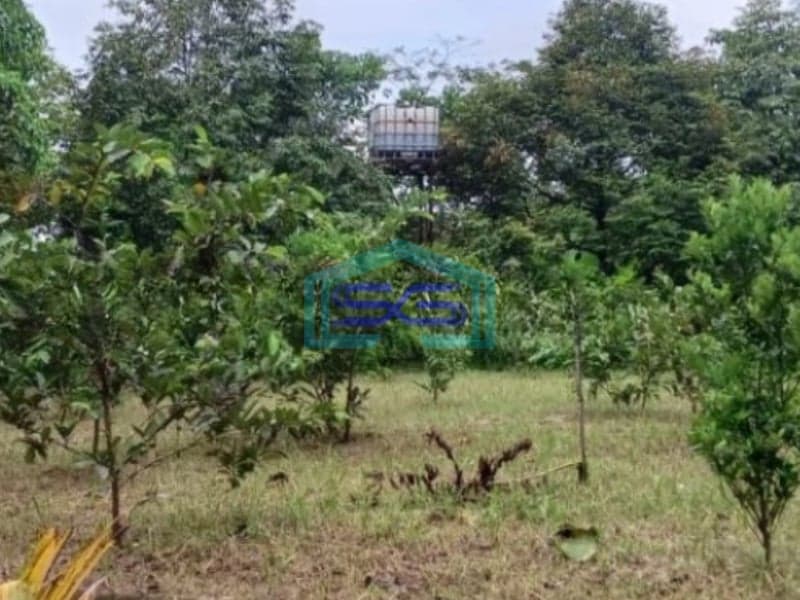 Dijual Tanah Plus Ruang Usaha Lokasi Strategis di Cicurug Sukabumi LT 27000m2