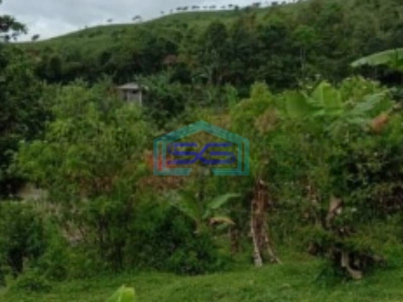 Dijual Tanah Darat di Cidahu Sukabumi Luas 9000m2