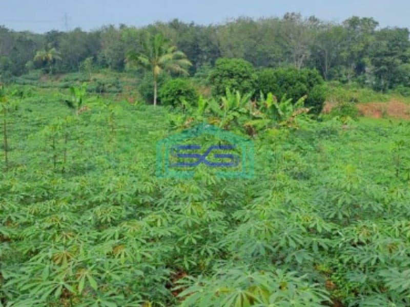 Dijual Tanah Lokasi Strategis Di Rumpin Bogor Jawa Barat LT 5000m2