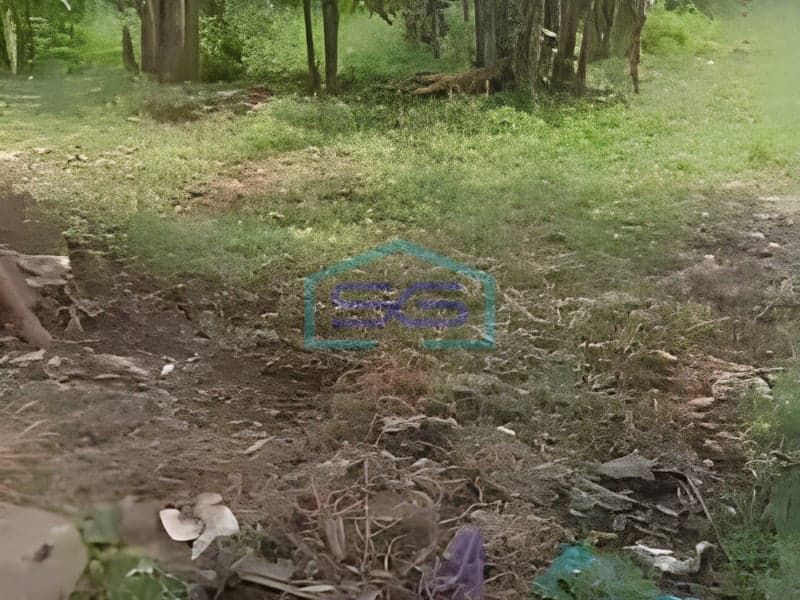 Dijual Tanah Industri di Banyuputih Batang Jawa Tengah Luas Tanah 710000 m²