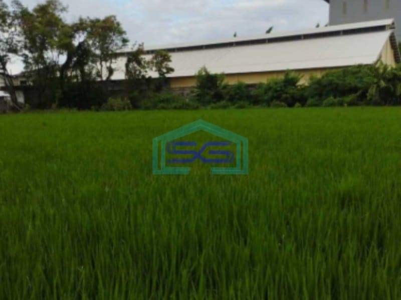Dijual Tanah Industri Di Bambe, Driyorejo, Gresik, Jawa Timur Luas Tanah 5030 m²