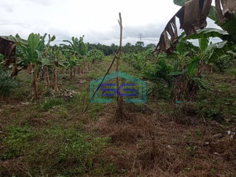 Dijual Tanah di Jalan Tanjung Api-Api Banyuasin Lokasi Strategis LT 22050m2