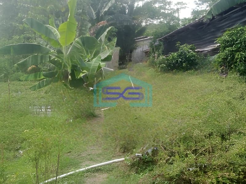 Disewakan Tanah Luas Tanah 1600m2 SHM di Citeureup Bogor