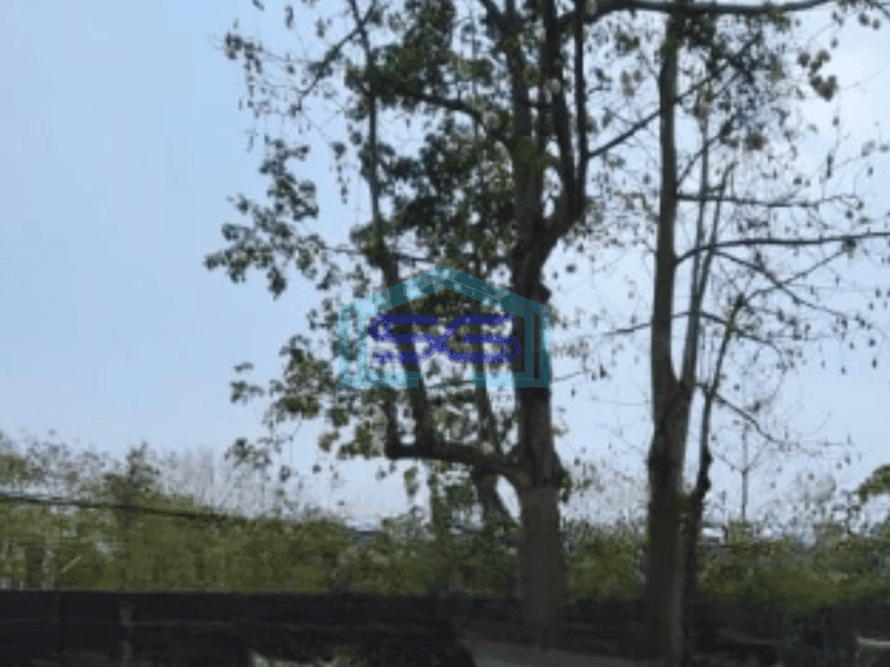 Dijual Tanah Luas 10771 m² di Pinggir Jalan Raya Kelapa Dua Tangerang