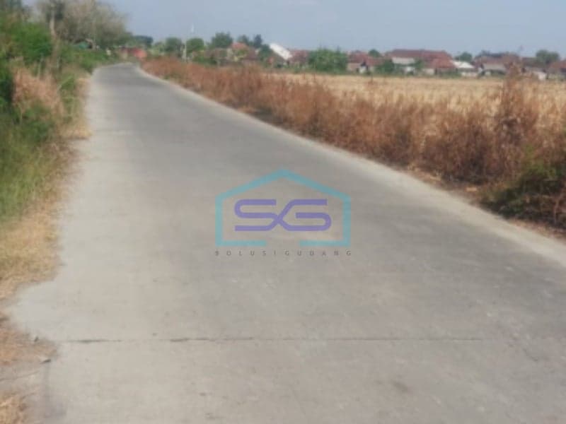 Dijual Tanah di Wedung Demak LT 80.000 m2