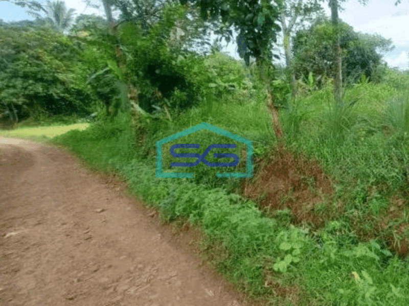 Dijual Tanah Cocok Untuk Gudang di Tenjo Bogor