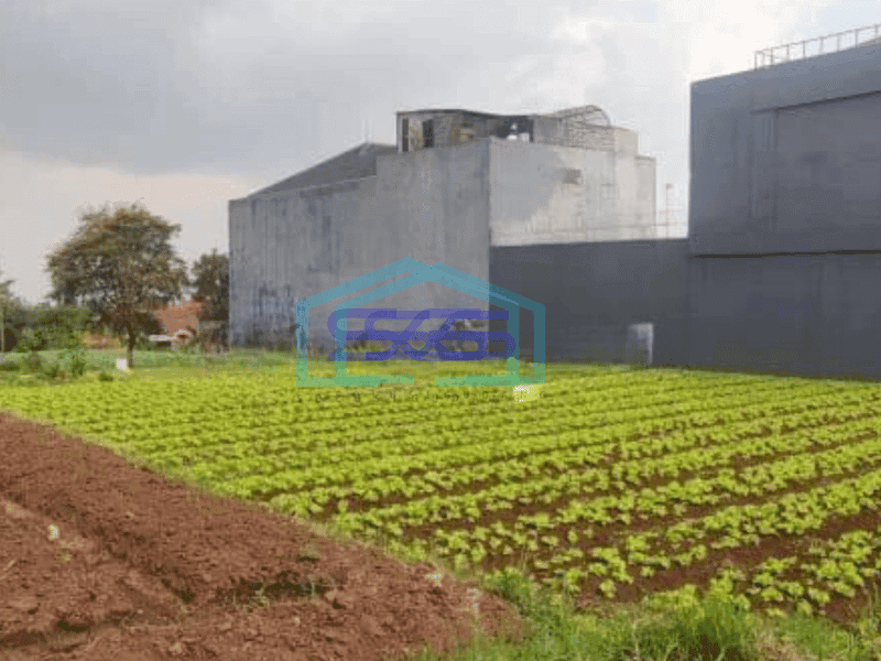 Dijual Kavling Harga Murah di Setiabudi Regency, Bandung