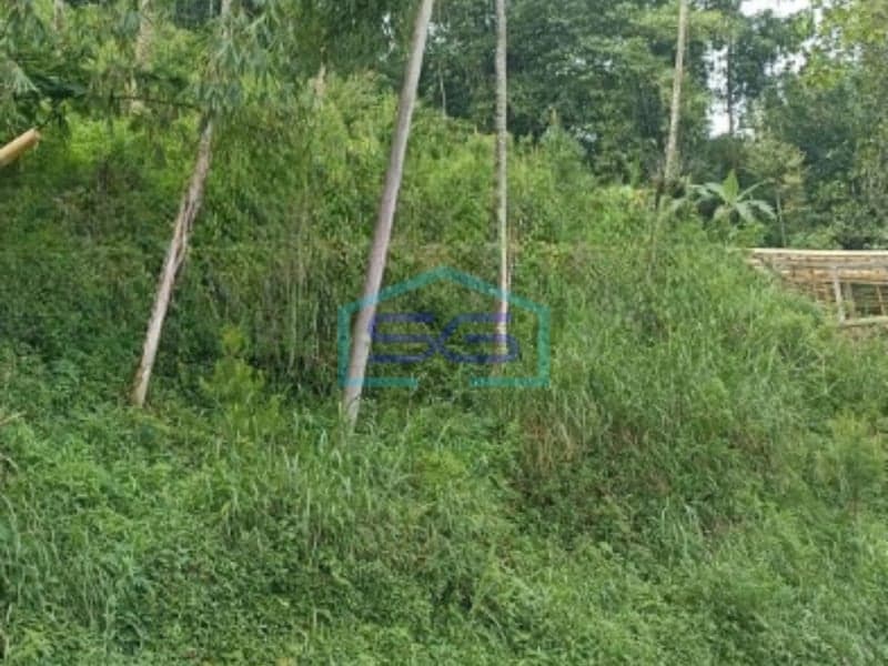 Dijual Tanah Luas 6600 m² Lokasi di Banjarnegara Jawa Tengah