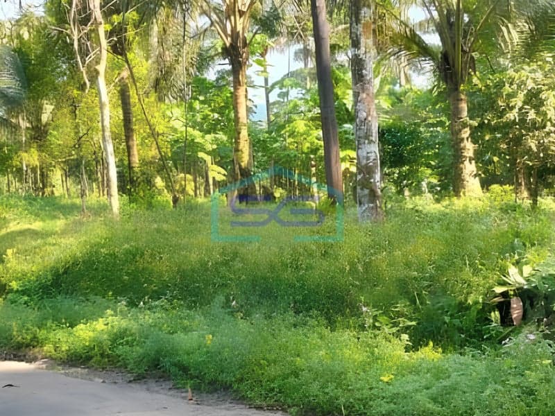 Dijual Tanah di Purbalingga Jawa Tengah Luas Tanah 4420 m²