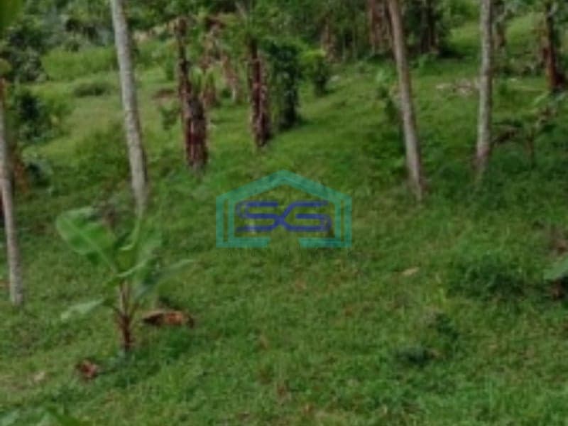 Dijual Tanah Darat di Cidahu Sukabumi Luas 9000m2