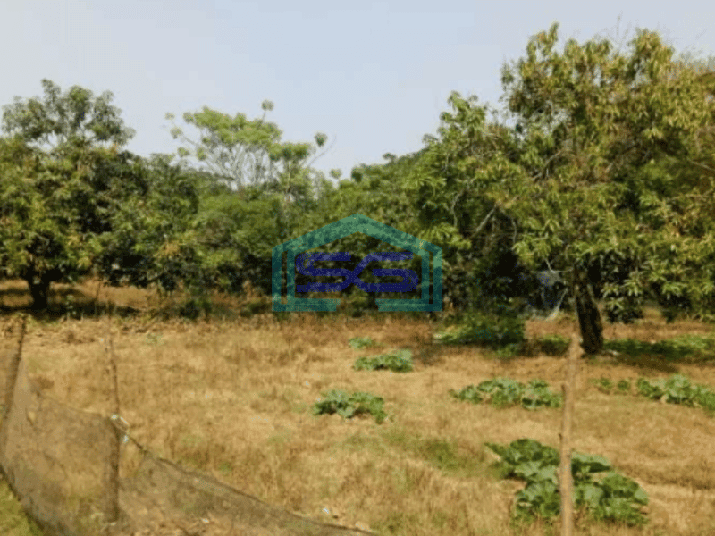 Dijual Tanah di Pakisjaya Karawang 4.950 M2 Pingir Jalan