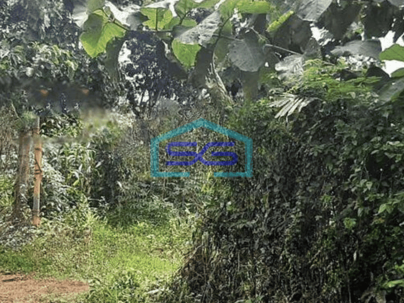 Dijual Tanah Komersil di Mojokerto Kota Luas 32.000m Cocok Untuk Industri Pergudangan