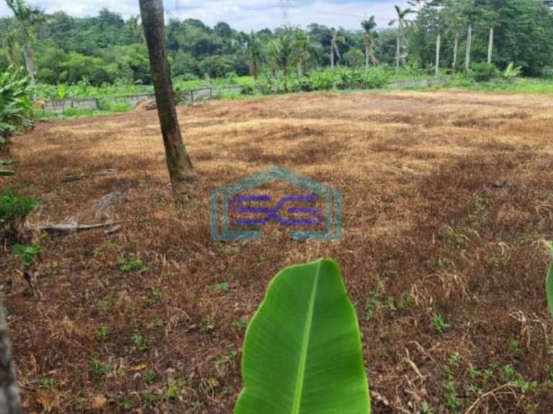 Dijual Tanah Bebas Banjir di Kawasan Industri Tengsaw Citeureup Bogor LT 30000m2