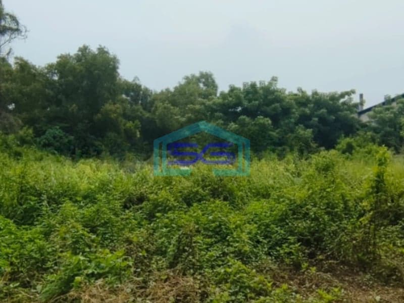 Di Sewakan Tanah Di Kawasan Industri Jl Mauk 3 Tangerang Luas Tanah  5500 m²