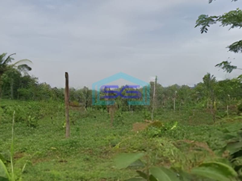 Dijual Tanah di Zona Industri Lokasi Batang Jawa Tengah Luas 119300m2