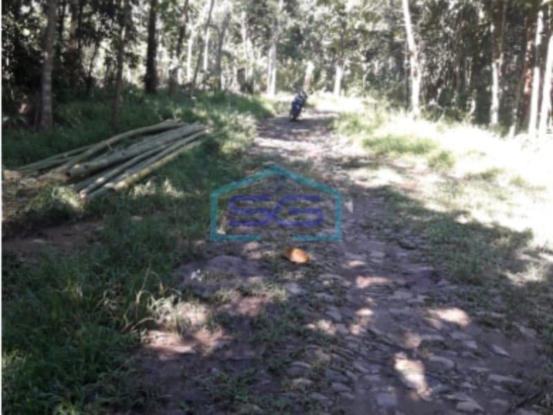Dijual Tanah di Pandeglang, Banten LT 30.000 m2