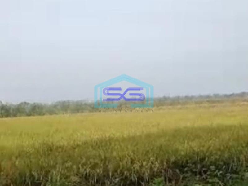 Dijual Tanah Luas  3500 m² Lokasi Sragen Jawa Tengah