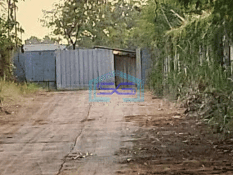 Dijual Tanah Lokasi Dekat Jalan Utama Di Gunung Sindur Bogor LT 1 Ha