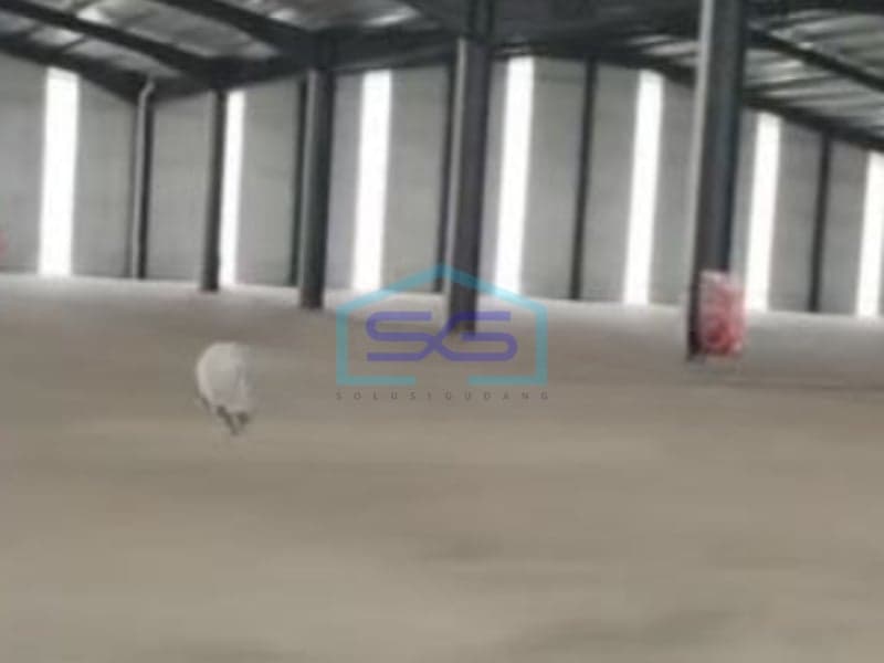 Disewakan Gudang Lokasi Strategis 5000 m² Bangunan 1 Lantai di Serang