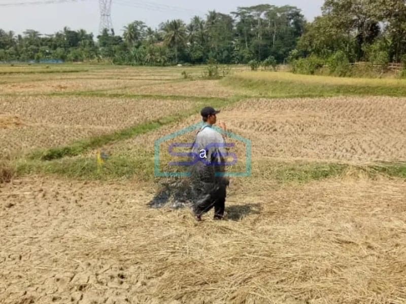 Dijual Tanah Plus Sawah di Serang, Banten Luas Tanah 100.000 m2
