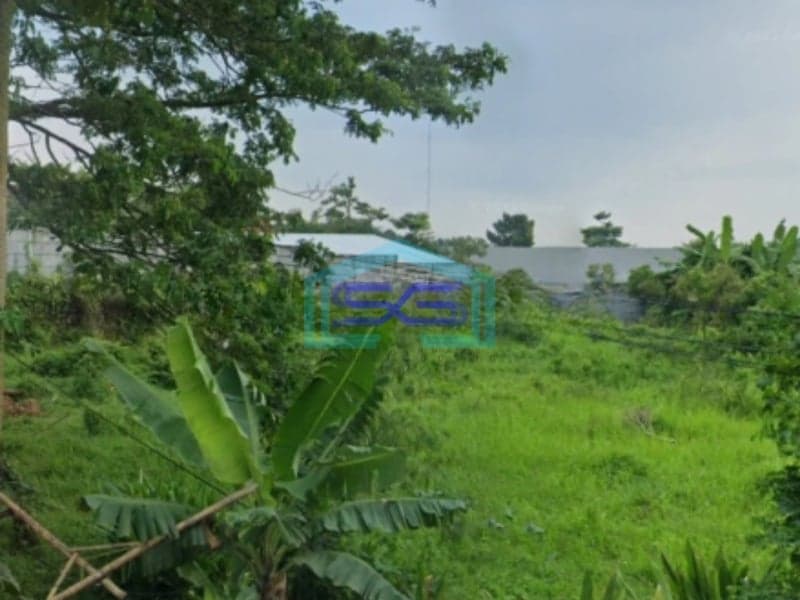 Dijual Tanah Industri Luas Tanah 6000m2 Di Rangkasbitung Lebak Banten