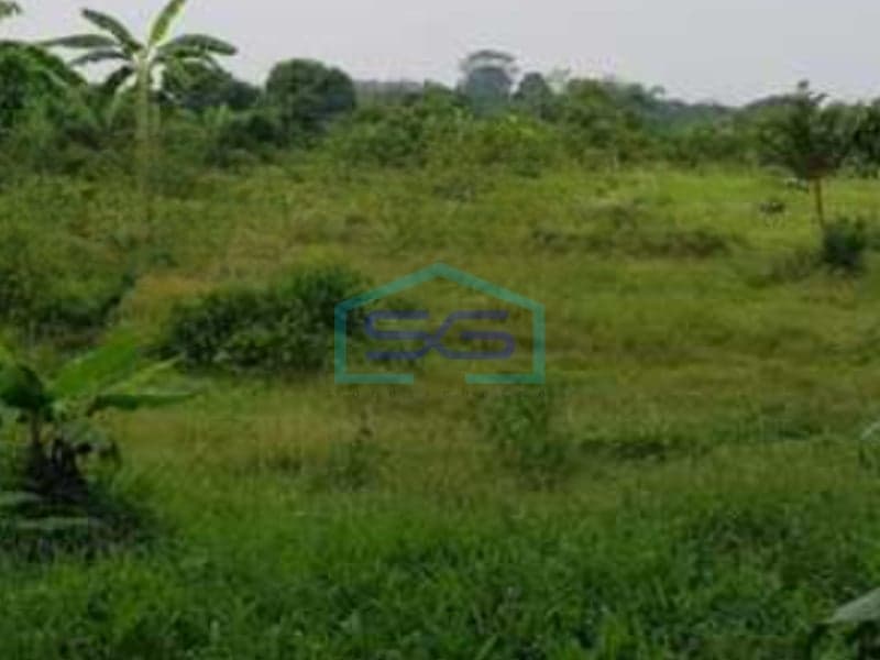 Dijual Tanah Luas 4011 m² Lokasi di Rumpin Bogor Jawa Barat