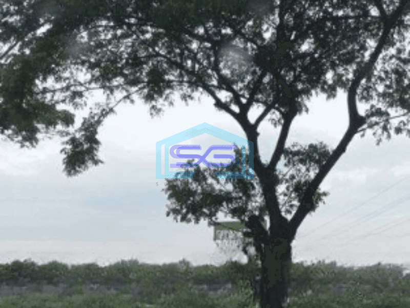 Disewakan Tanah Luas 5000 m² Lokasi Strategis Pinggir Jalan Raya Harapan Indah Bekasi