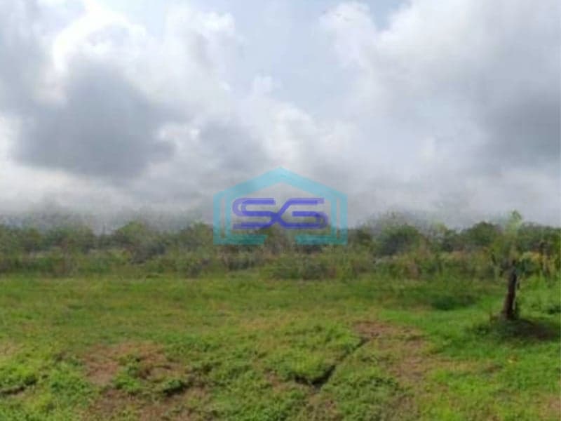Dijual Tanah Luas 14837 m2 Lokasi Kedungpring Lamongan