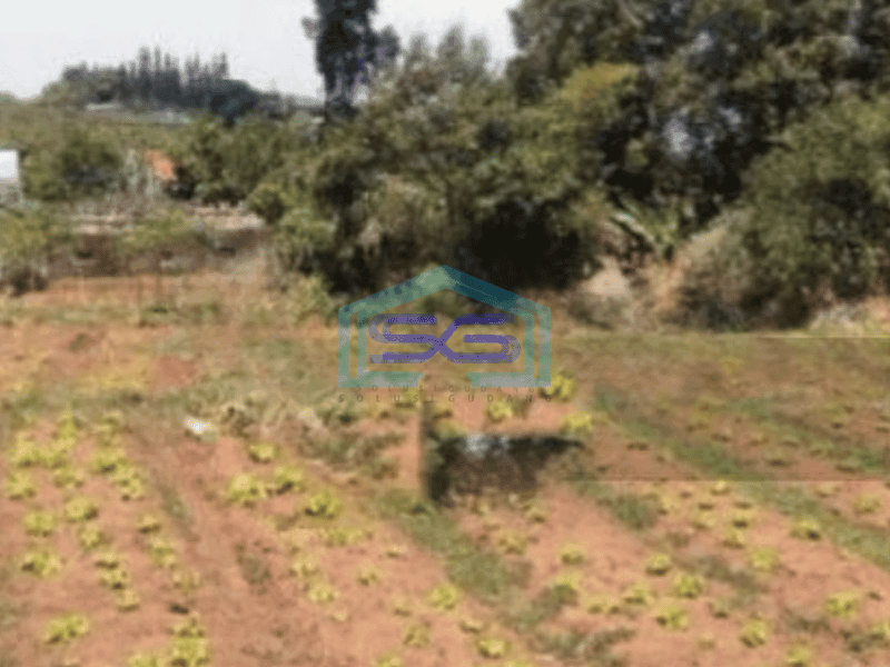 Dijual Tanah Kavling Panorama Di Lembang Bandung Barat Luas Tanah 4175 m²