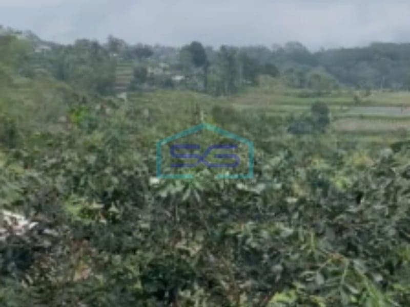 Disewakan Tanah Pinggir Jl Raya Bedugul Tabanan Bali View Super Keren LT 14000m2