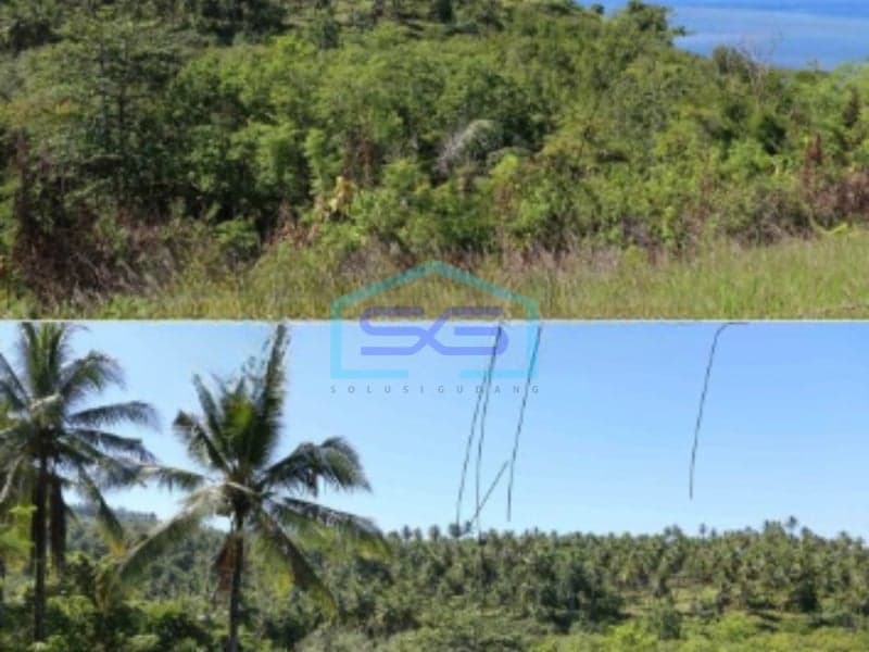 Dijual Tanah Dengan View Pulau Bunaken di Molas, Manado LT 400000 m²