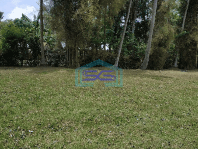 Dijual Tanah di Ubud Gianyar Bali