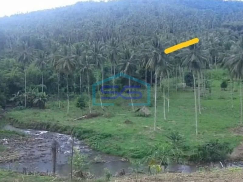 Dijual Tanah di Minahasa Utara, Sulawesi Utara - 75 Ha