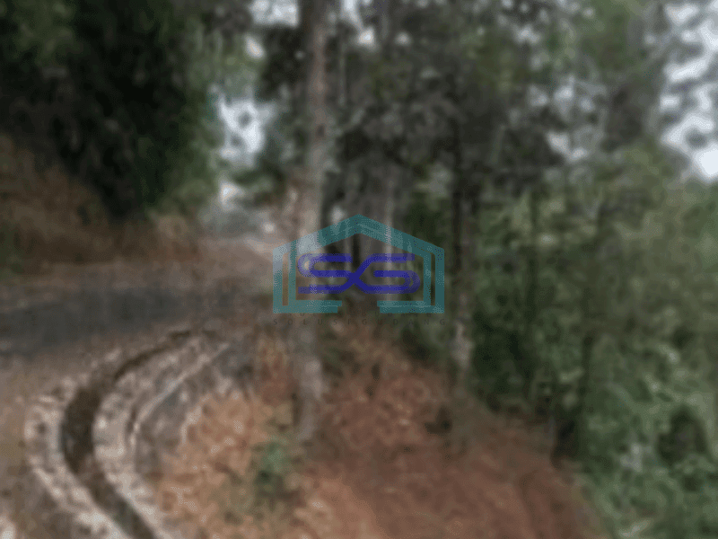 Dijual Tanah di Desa Mekar Wangi Bandung Luas Tanah 50000 m²