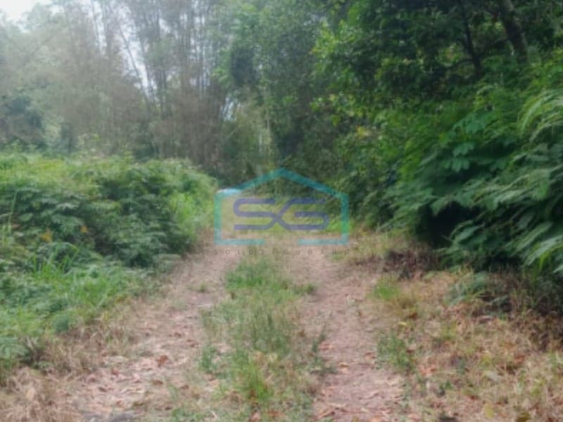 Dijual Tanah SHM di Pakem Binangun, Sleman Yogyakarta LT 25000m2