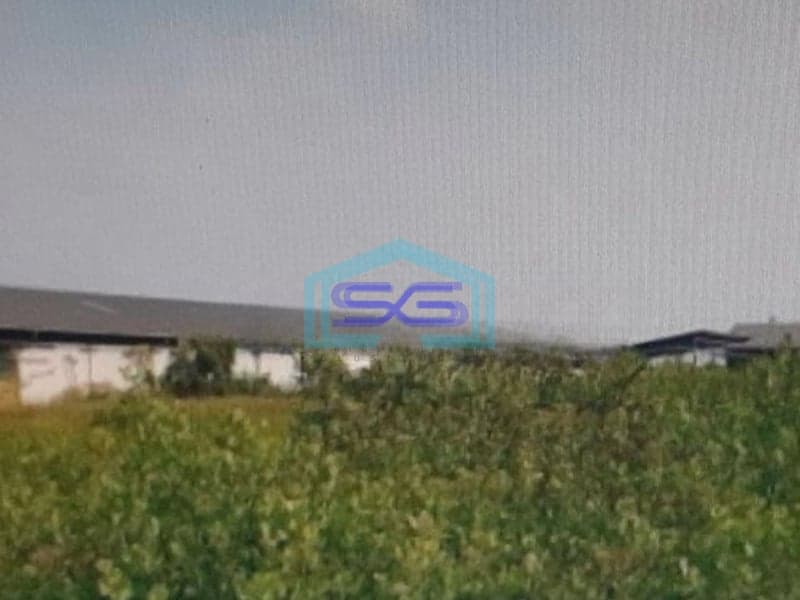 Dijual Tanah Di Tambak Sarioso Asemrowo Surabaya LT 4647m2