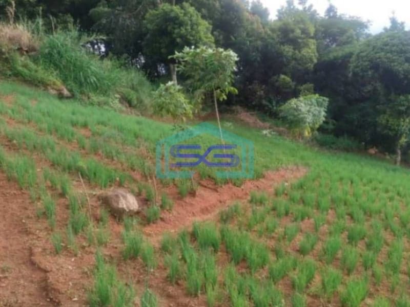 Dijual Cepat Tanah di Bojong Koneng Bandung Barat LT 1000m2
