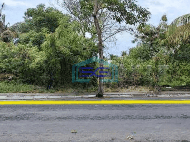 Disewakan Tanah Pantai Pererenan Canggu Bali Badung Luas Tanah 2743m2