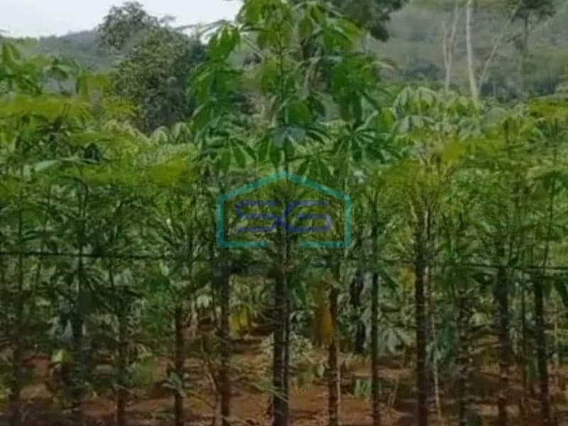 For Sale Land Plot Near Sukabumi Main Road West Java Land Area 25000 m²
