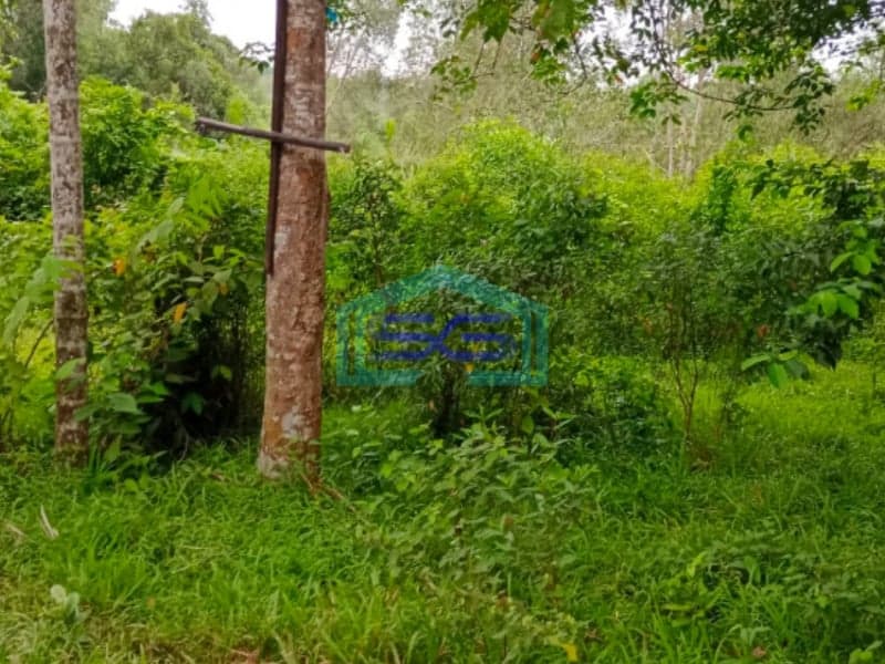Dijual Tanah di Jalan Talang Kepuh Gandus Palembang Lokasi Mudah Dijangkau