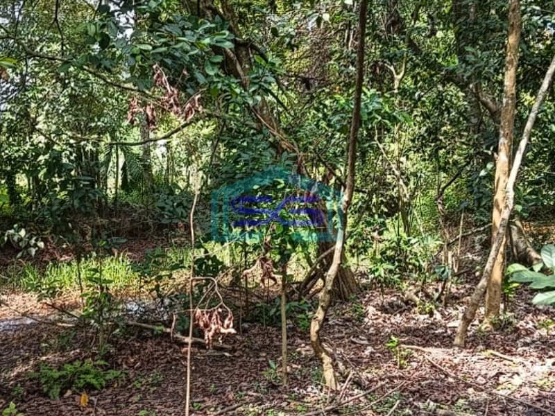 Dijual Tanah di Jalan Sukasari Soekarno Hatta Palembang LT 4000m2
