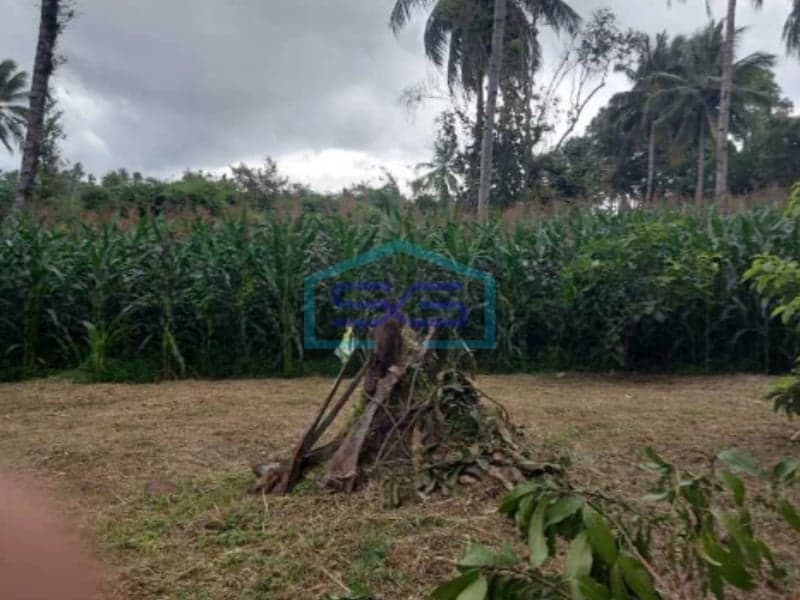 Dijual Tanah Dekat Pintu Tol di Jalan Raya Manado, Sulawesi Utara LT 23000